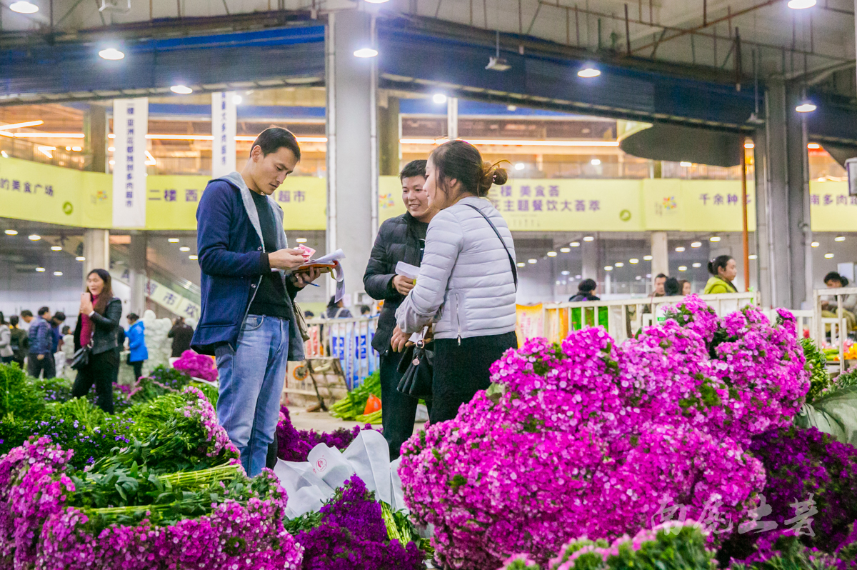 昆明斗南花卉市場——中國最大,鮮花白菜價!