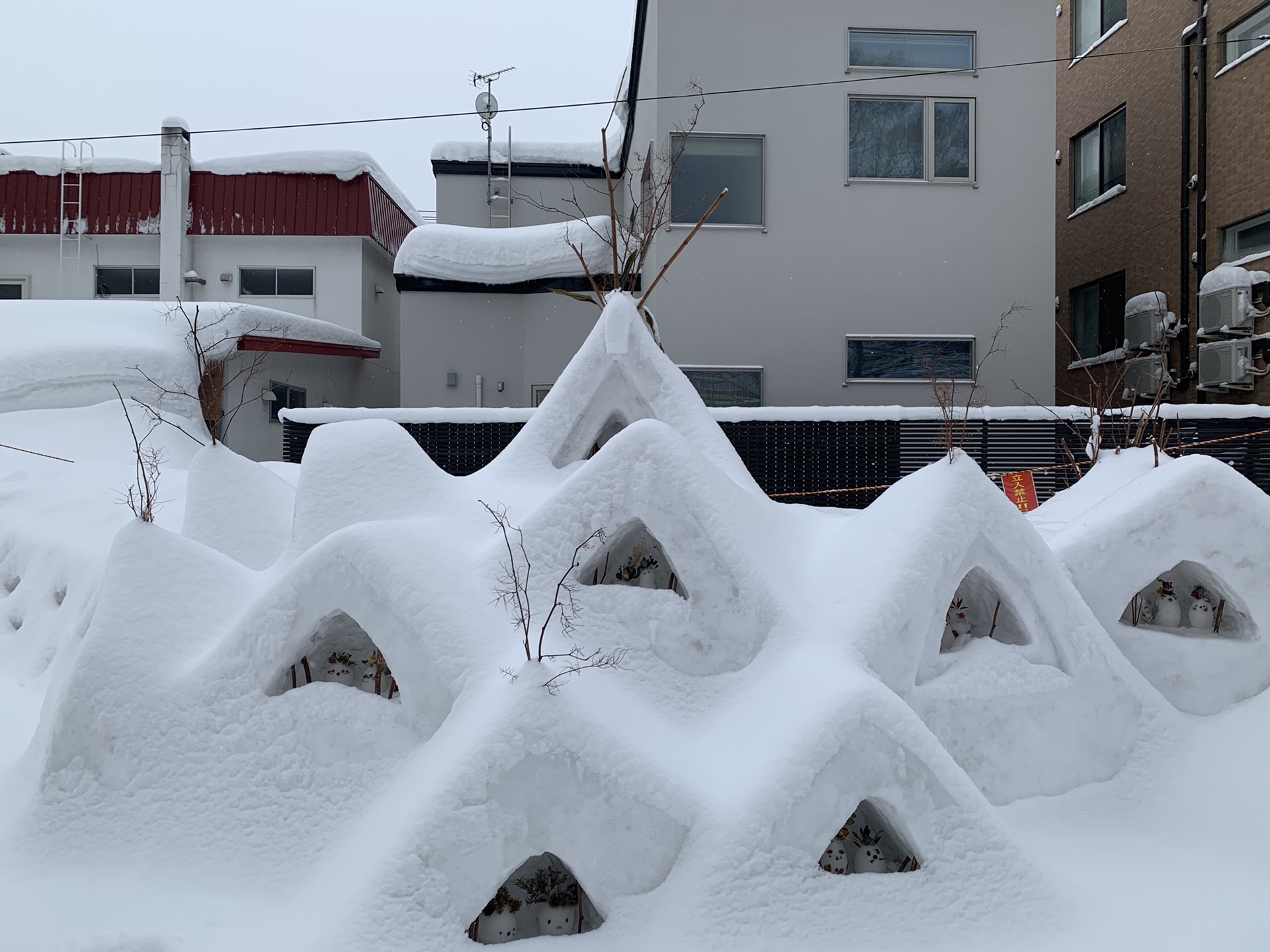 北海道自助遊攻略