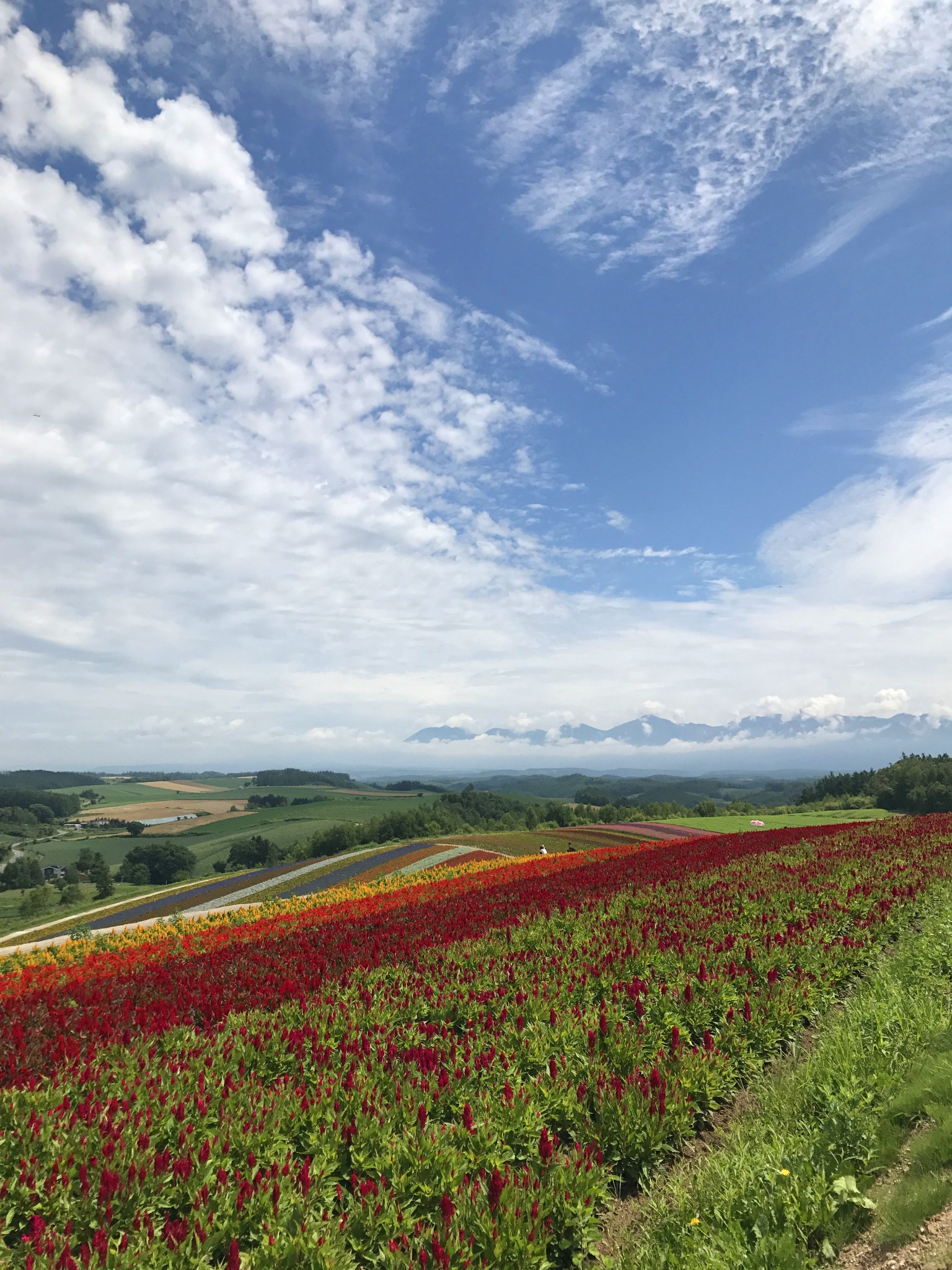 北海道自助遊攻略