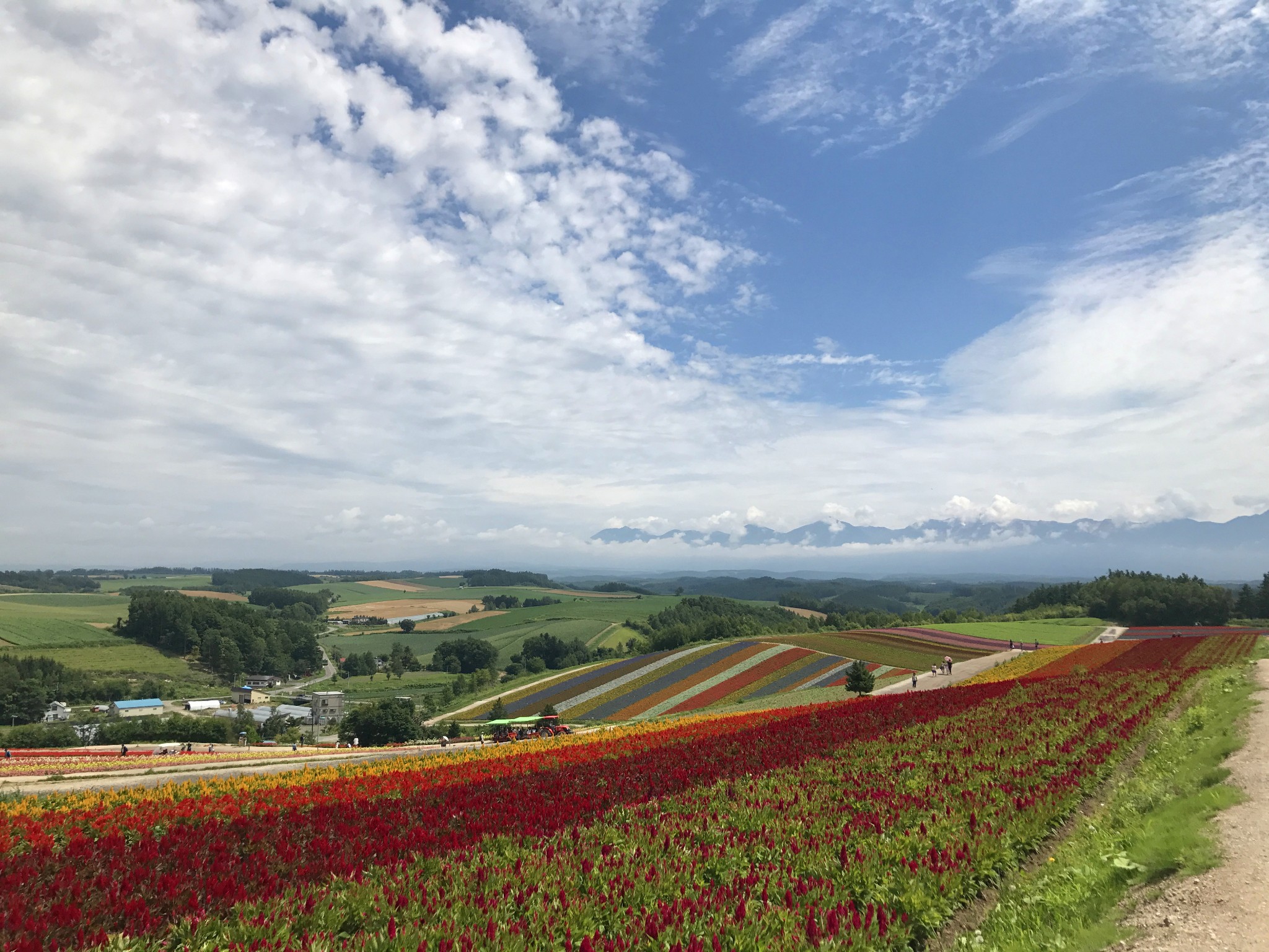 北海道自助遊攻略