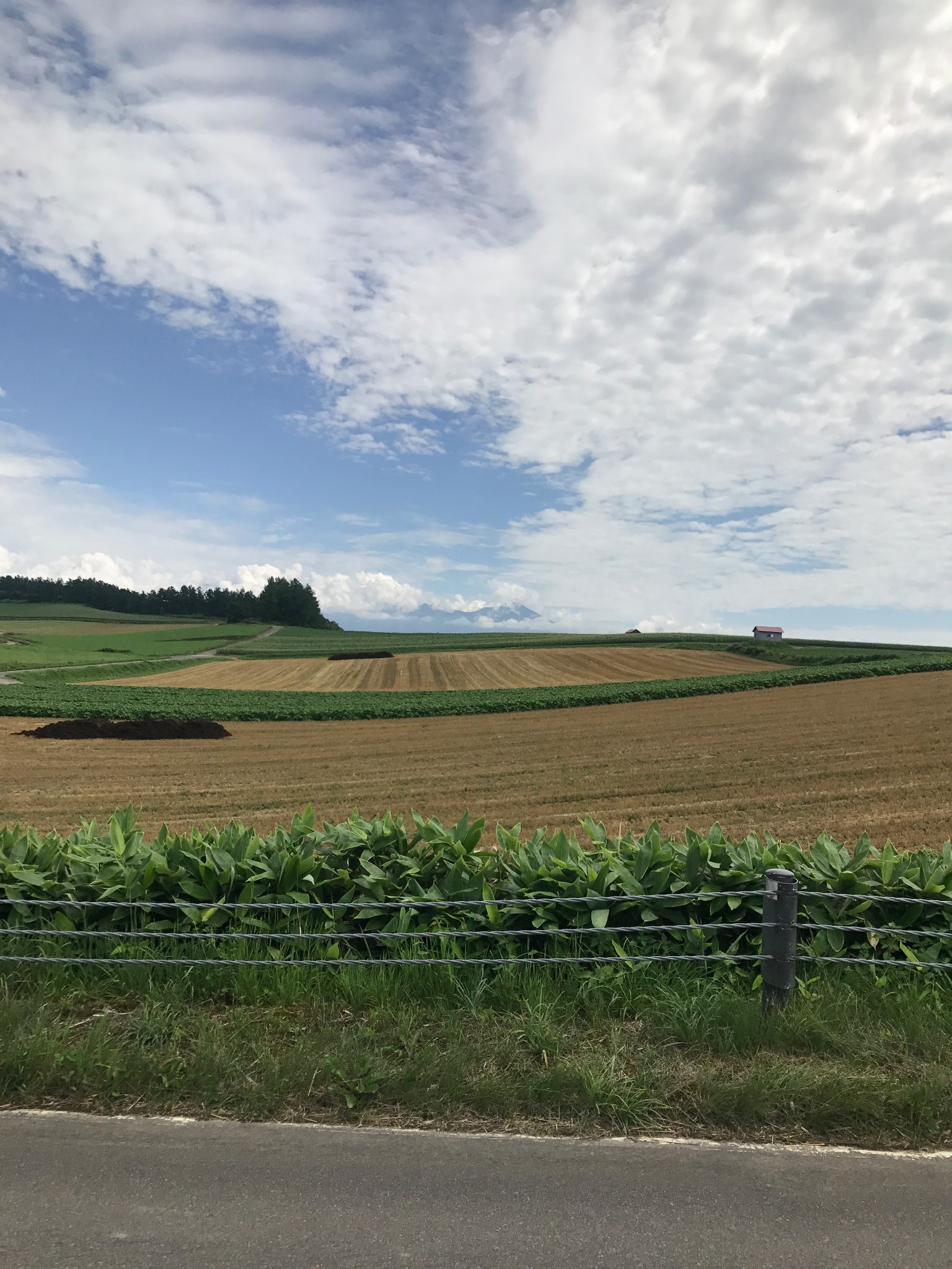 北海道自助遊攻略