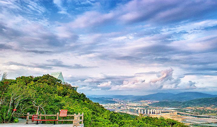 三亚凤凰岭海誓山盟景区成人门票 往返索道