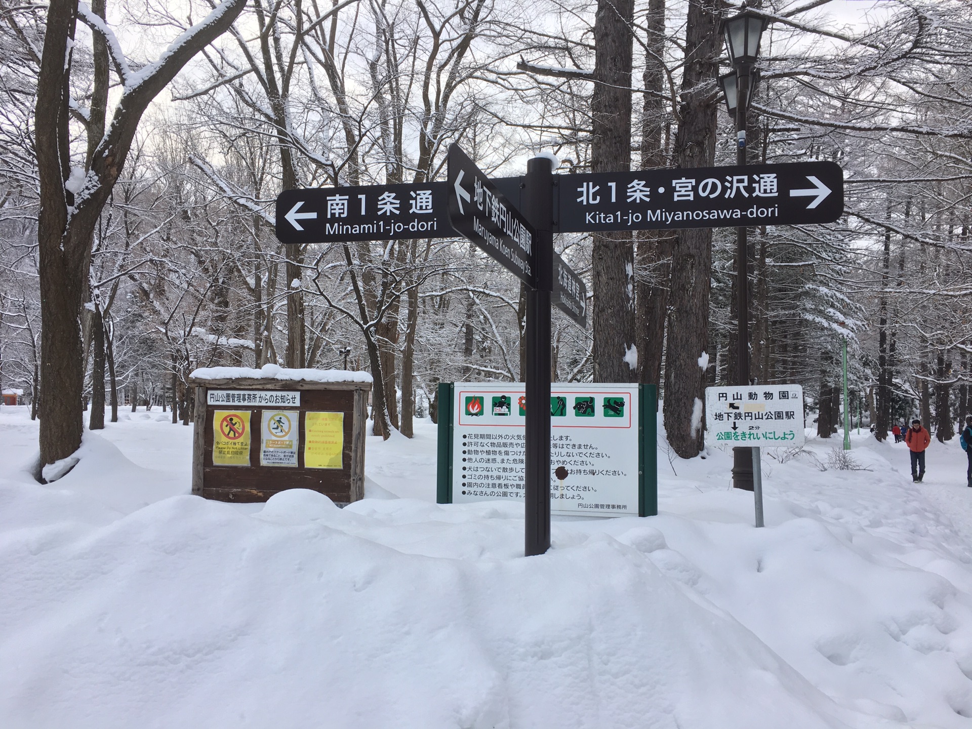 北海道自助遊攻略