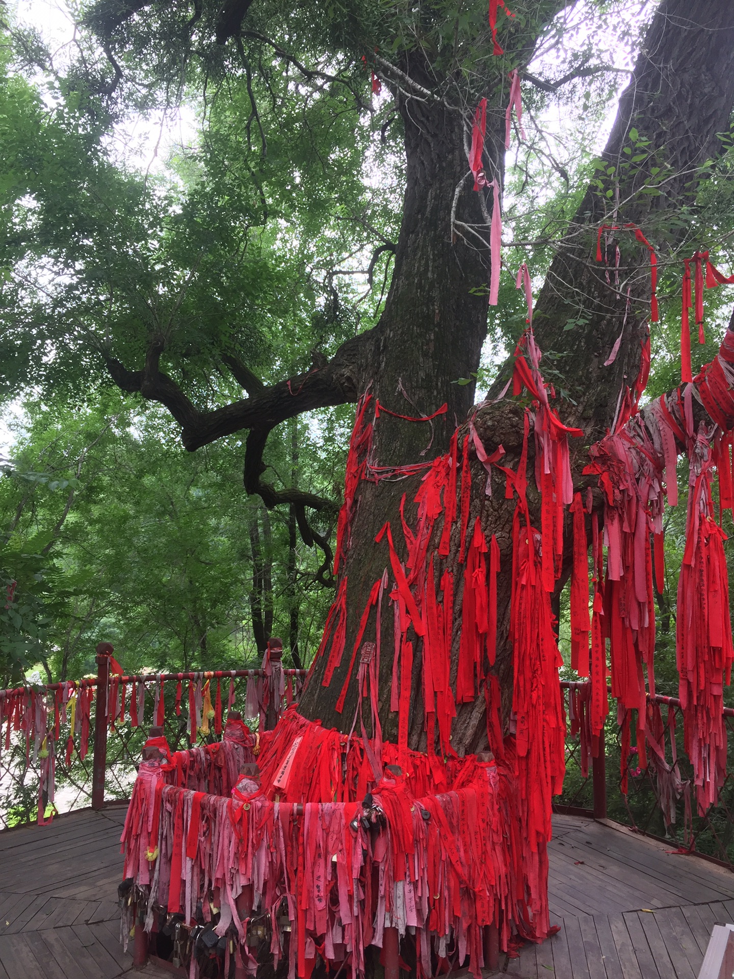 赫图阿拉城址 正白旗衙门门口的许愿树