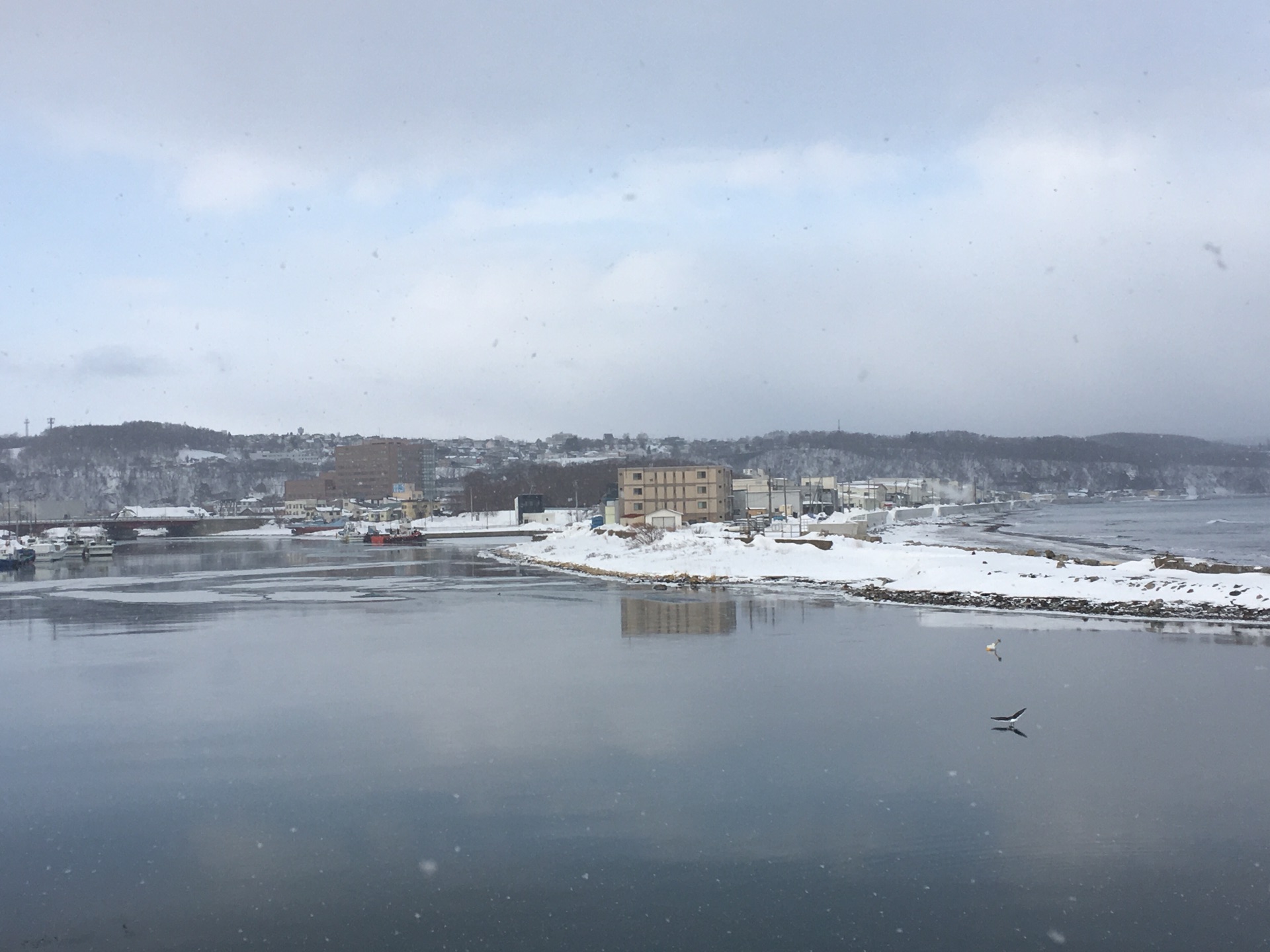 北海道自助遊攻略