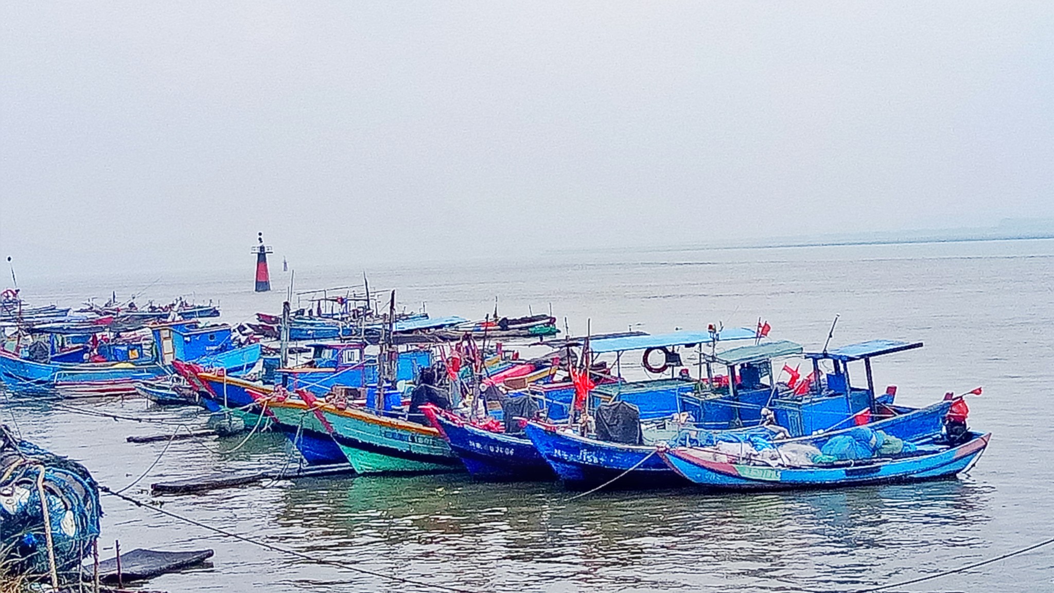 浔埔人口_浔埔女