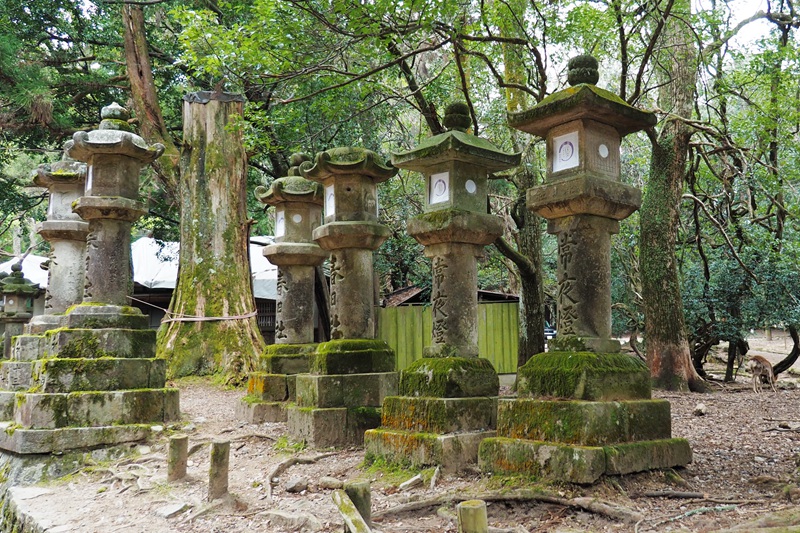 京都自助遊攻略