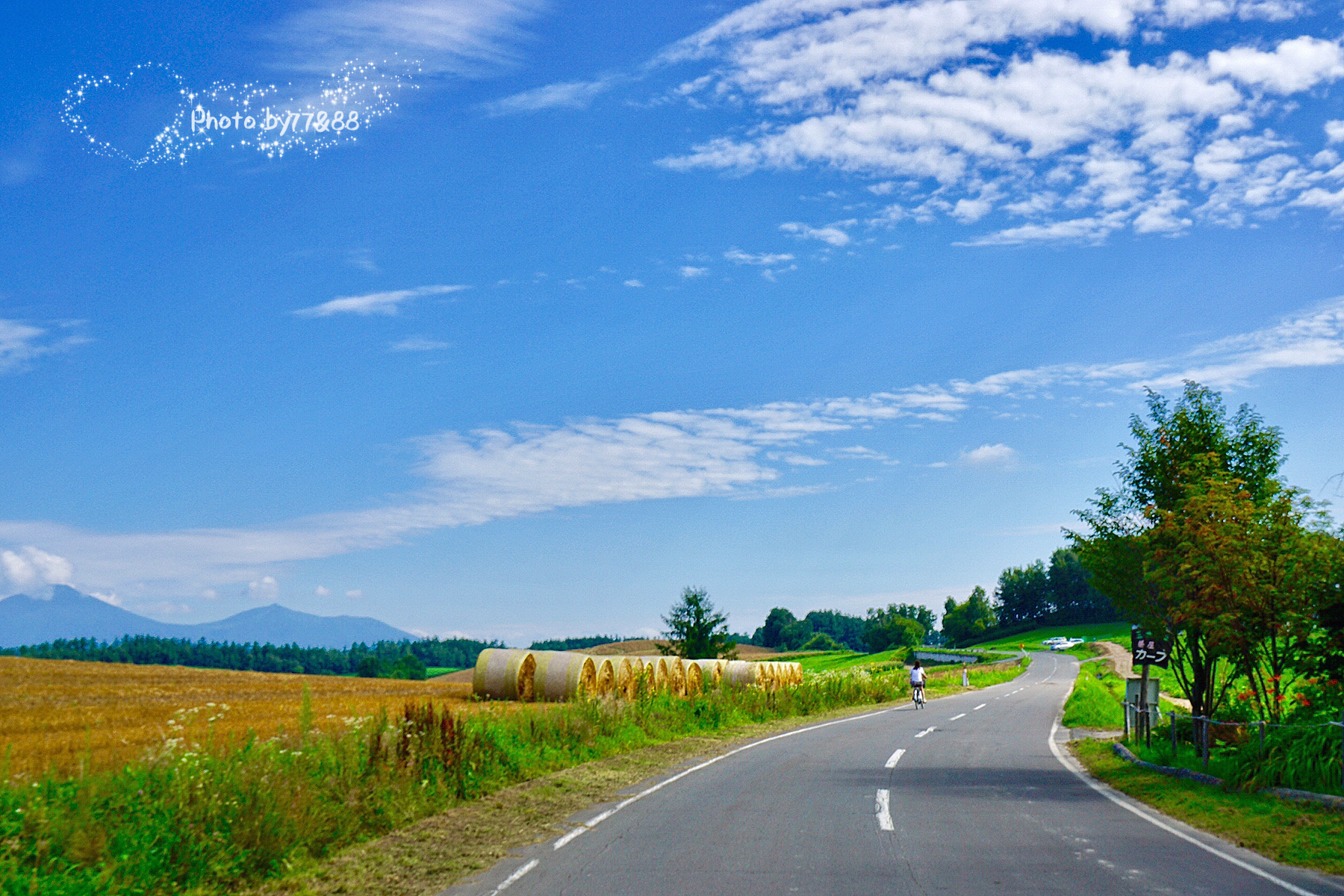 北海道自助遊攻略