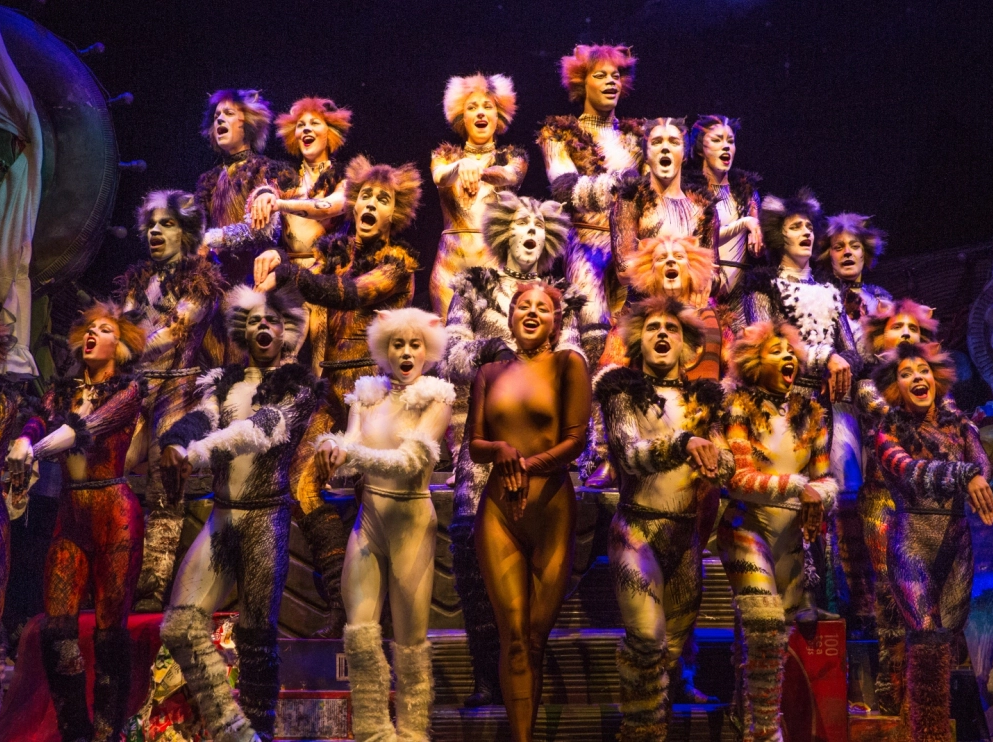 百老汇经典《猫cats 》(最后一个演出月/交响乐区座位/ 二楼靠前位子