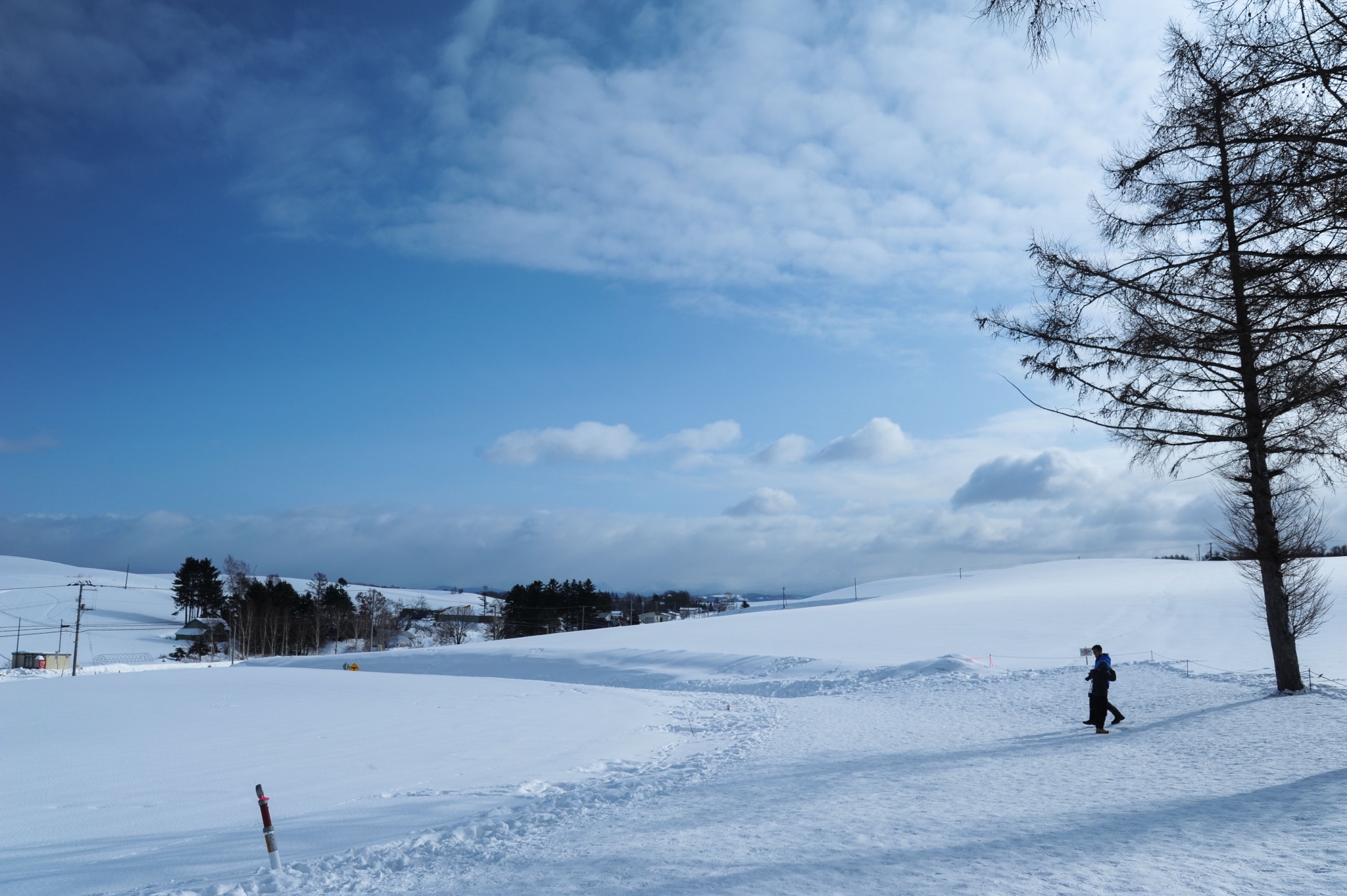 北海道自助遊攻略