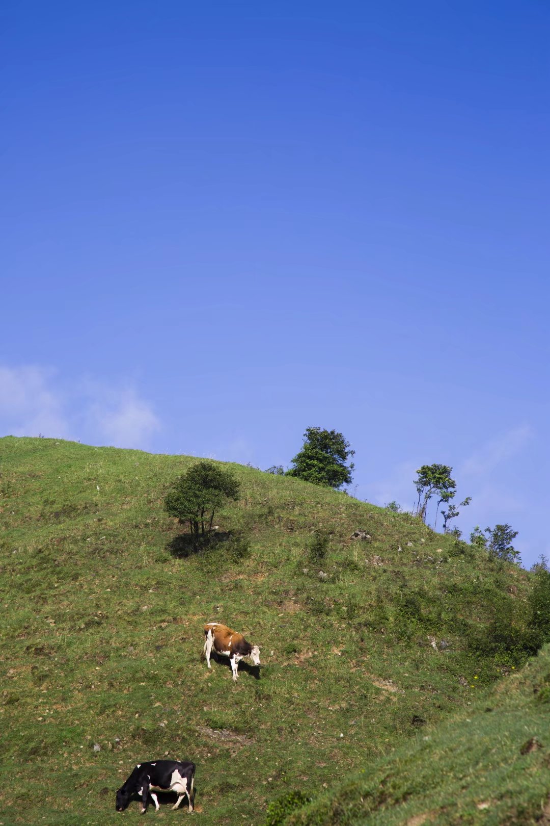 騎行南山牧場,城步旅遊攻略 - 馬蜂窩