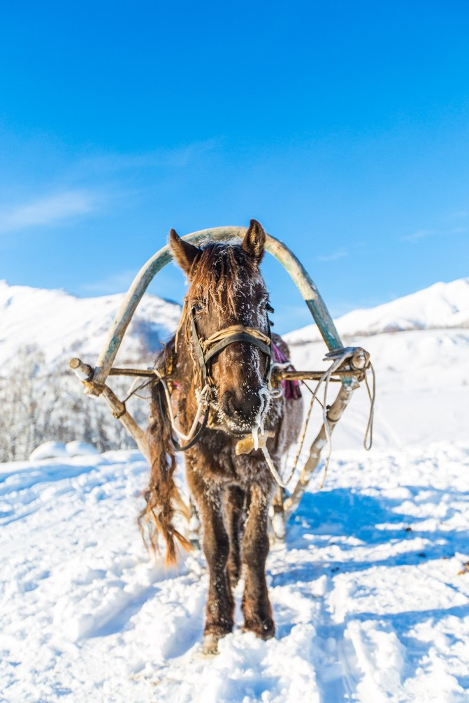 迷失在冬日喀纳斯的冰雪奇缘里