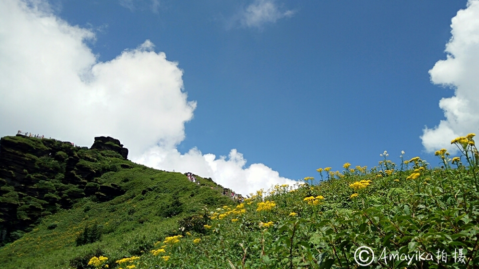 札幌自助遊攻略