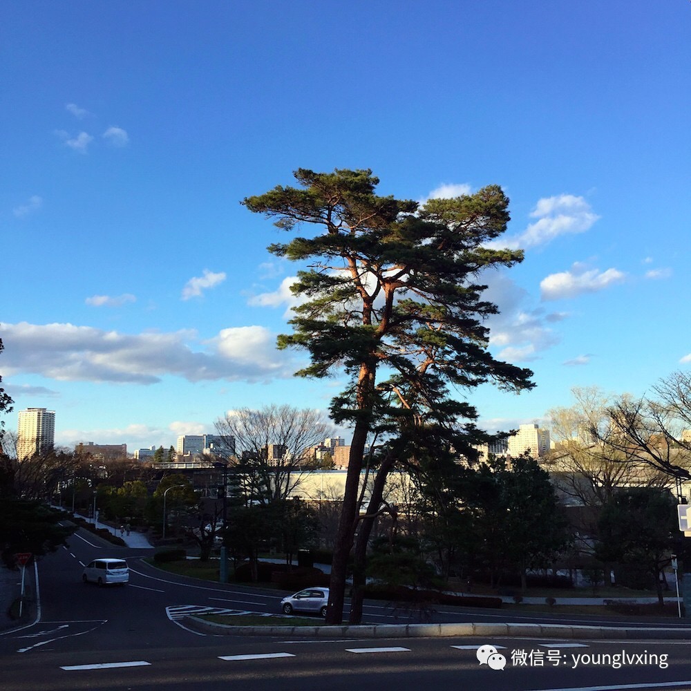 三月赴樱花初开,顺便屯了个三年日签(东京、仙