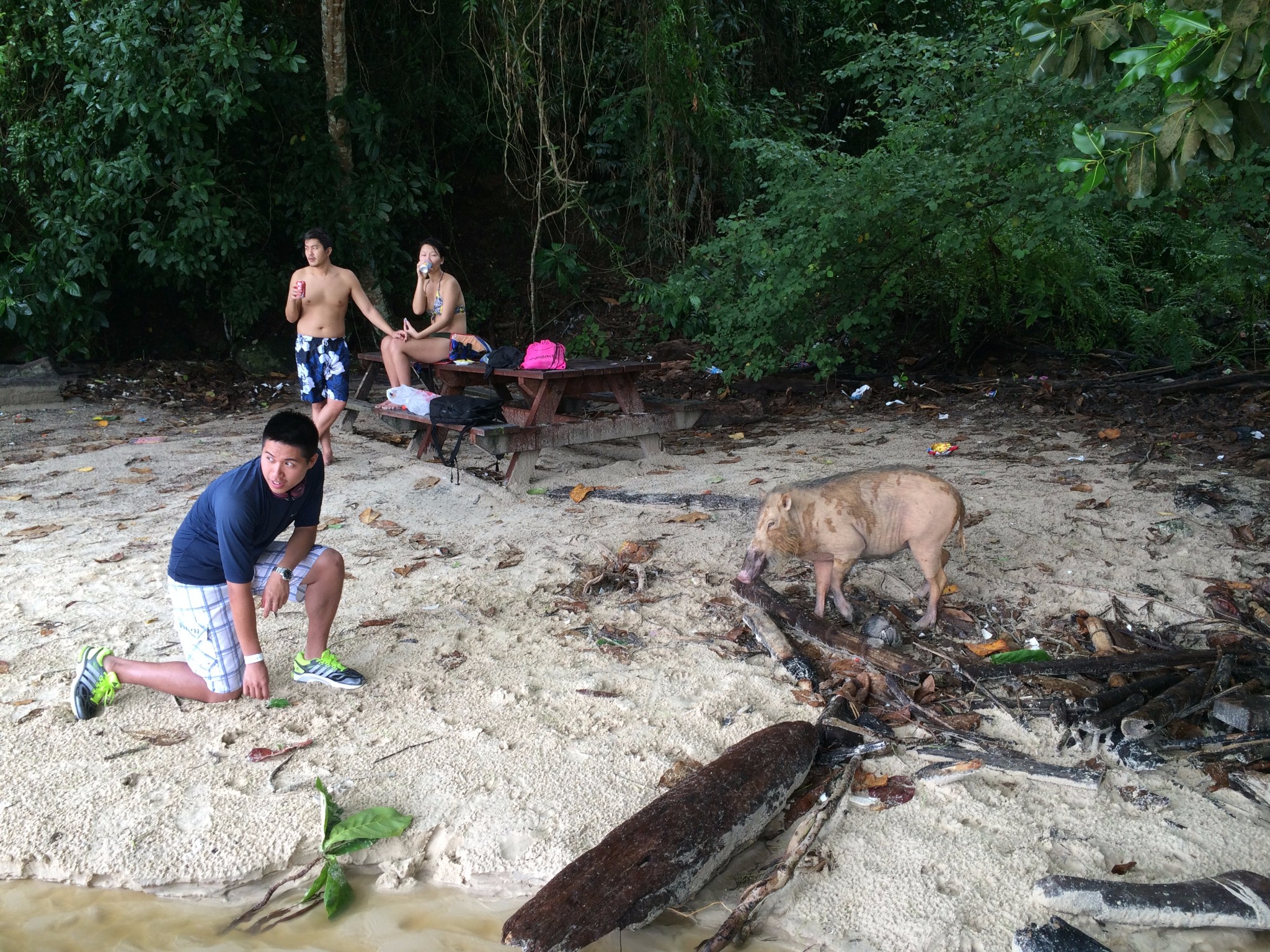 沙巴自助遊攻略