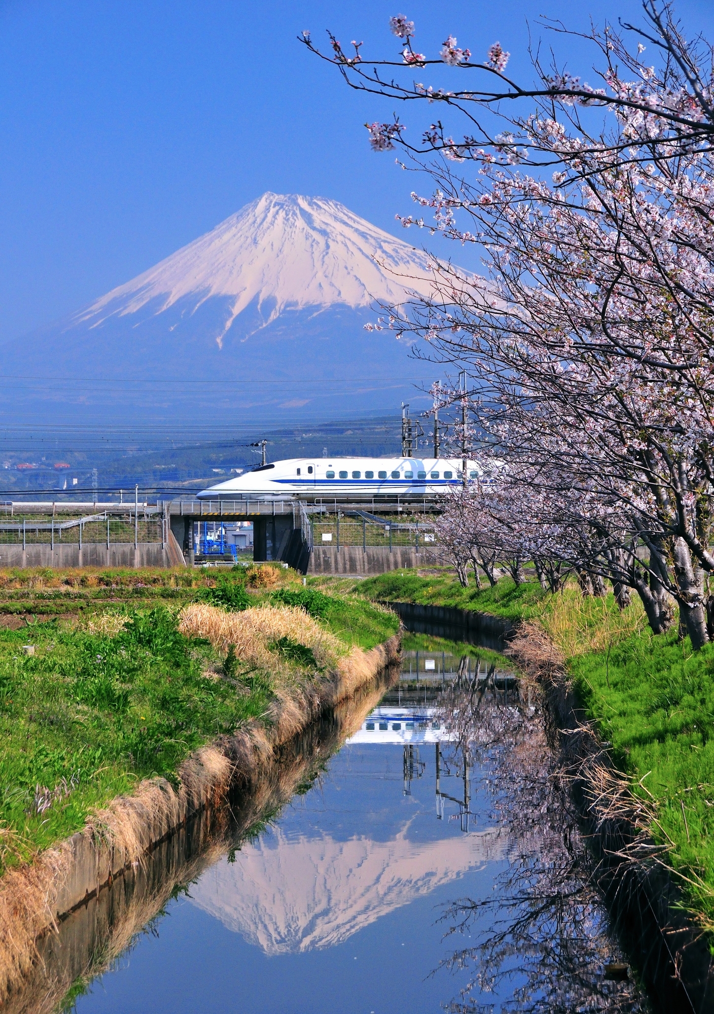 一家三口的静冈-伊豆-热海-箱根之旅