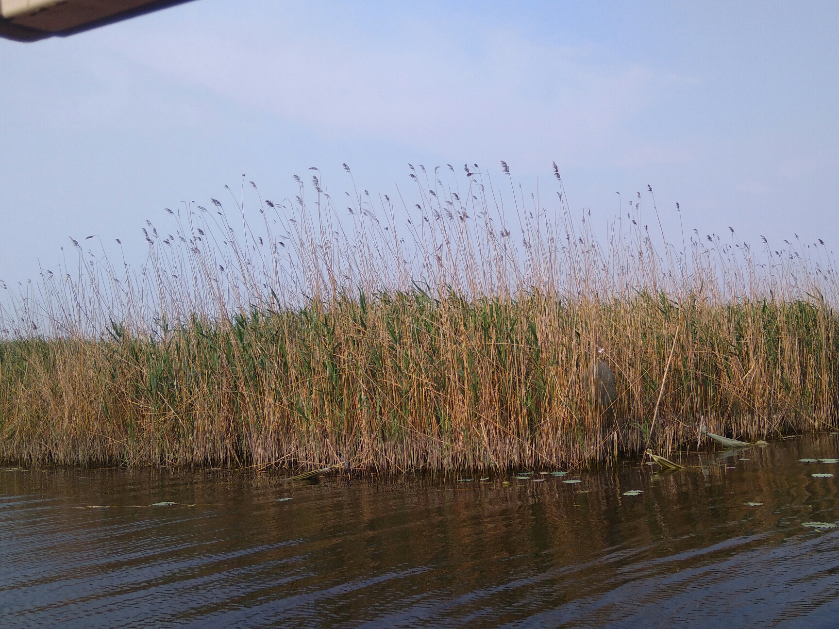 县里GDP高对市里有帮助吗_帮助别人的图片