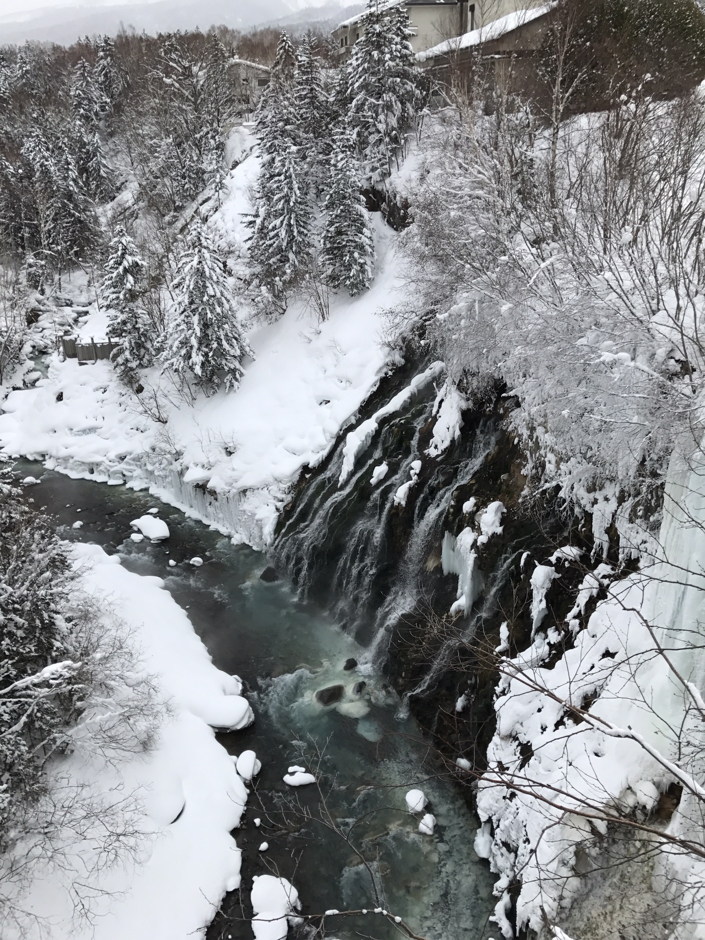 北海道自助遊攻略