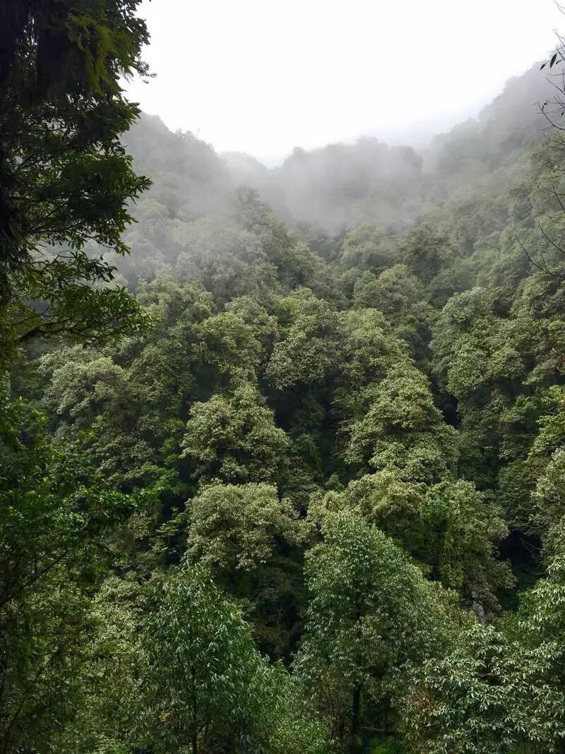 尼泊爾自助遊攻略