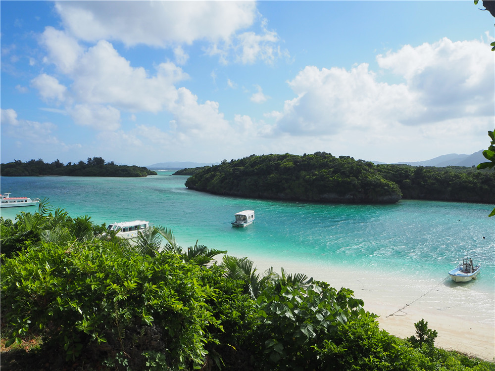 日本不只有樱花和红叶,还有海洋天堂-- 石垣岛追寻manta之旅