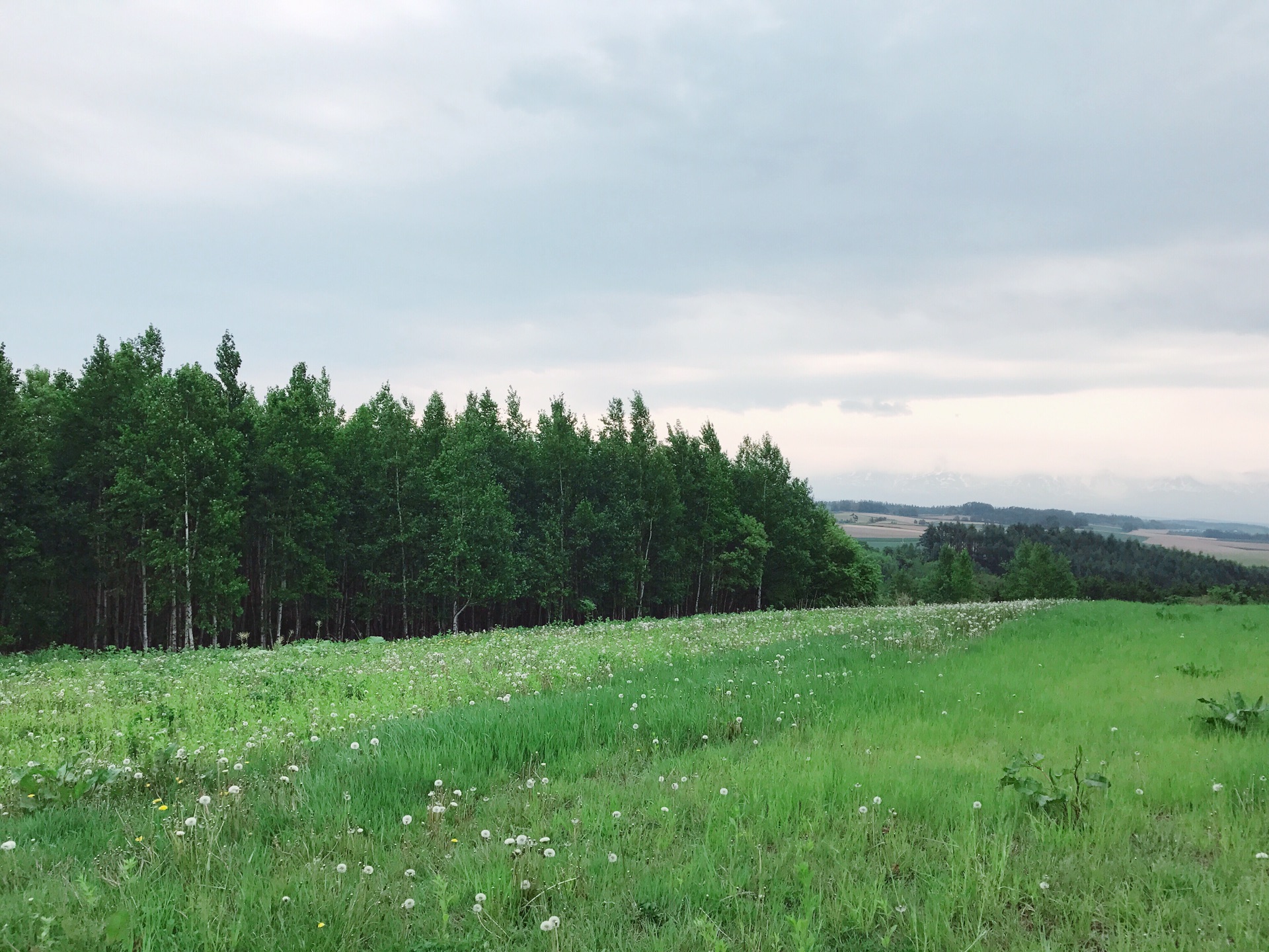 札幌自助遊攻略