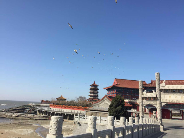 山东游玩攻略,山东游玩攻略自由行