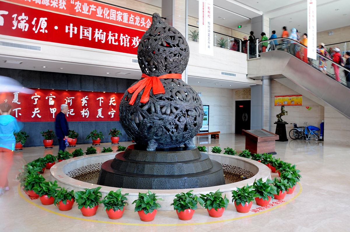 走进中国枸杞之乡