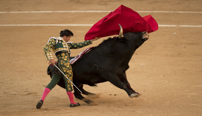                :西班牙斗牛(图片