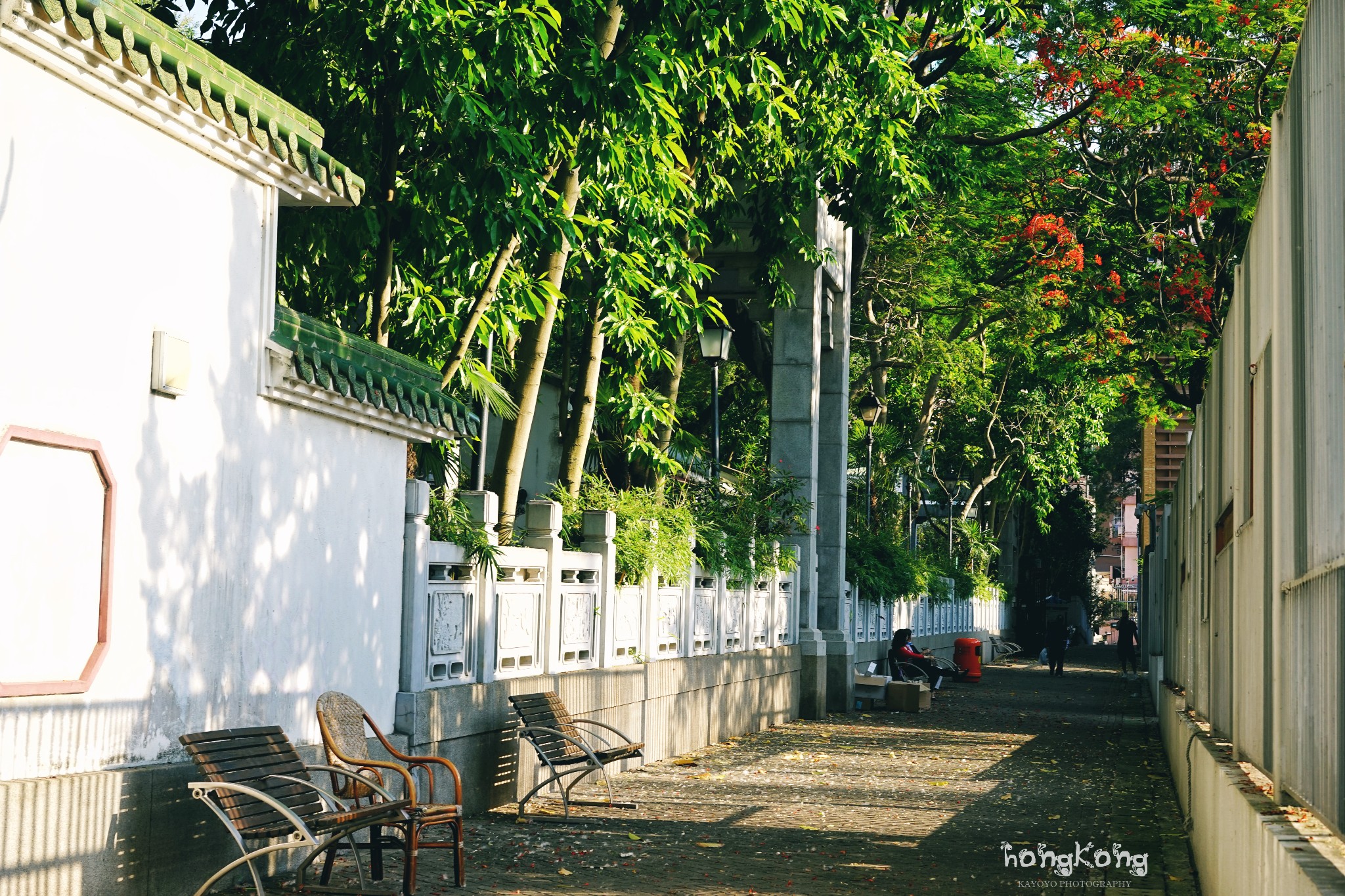 园圃街雀鸟花园