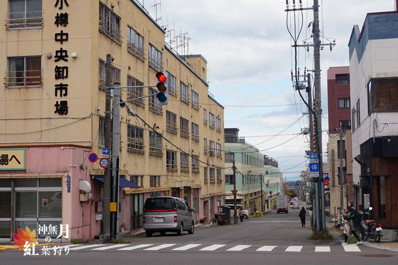 北海道自助遊攻略