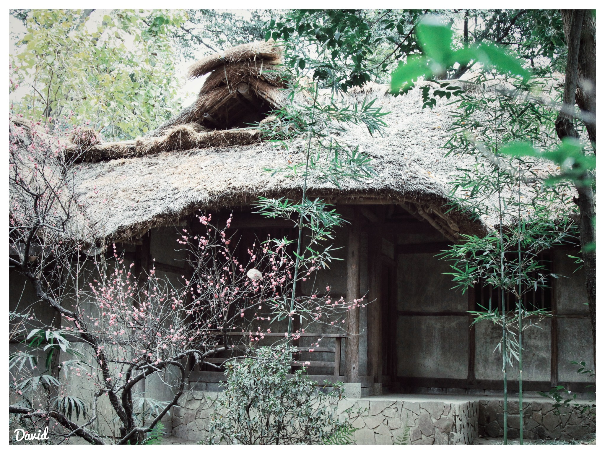仰止堂 诗廊 北邻 茅屋故居 少陵草堂碑亭 水竹居 花径 诗史堂 草堂留