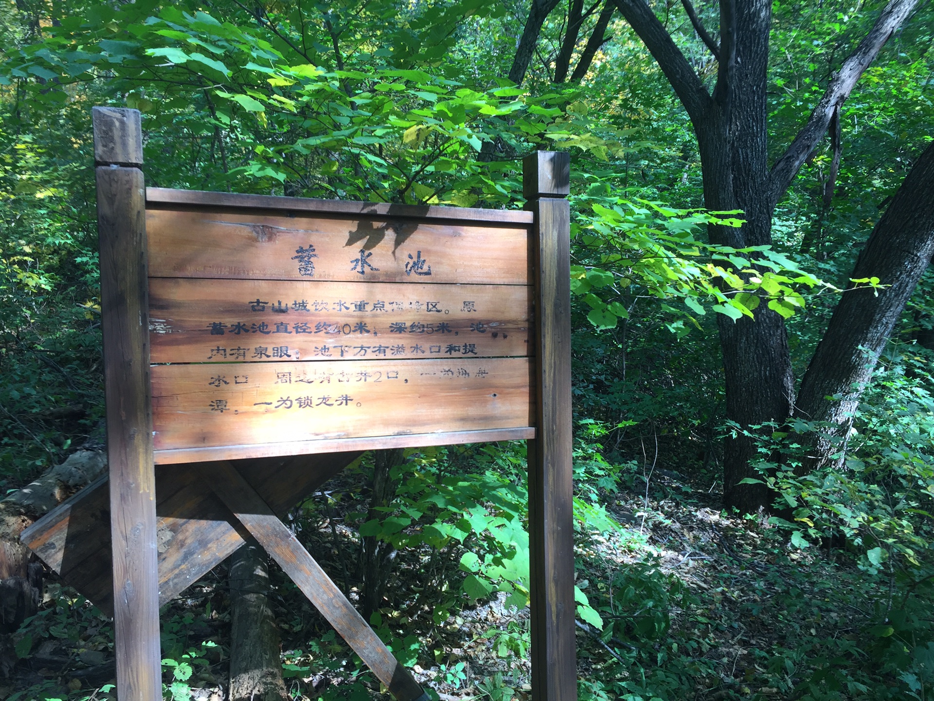 鐵嶺城子山〕2017十一賞秋,登頂登嘎拉達峰圖片178,西豐旅遊景點,風景