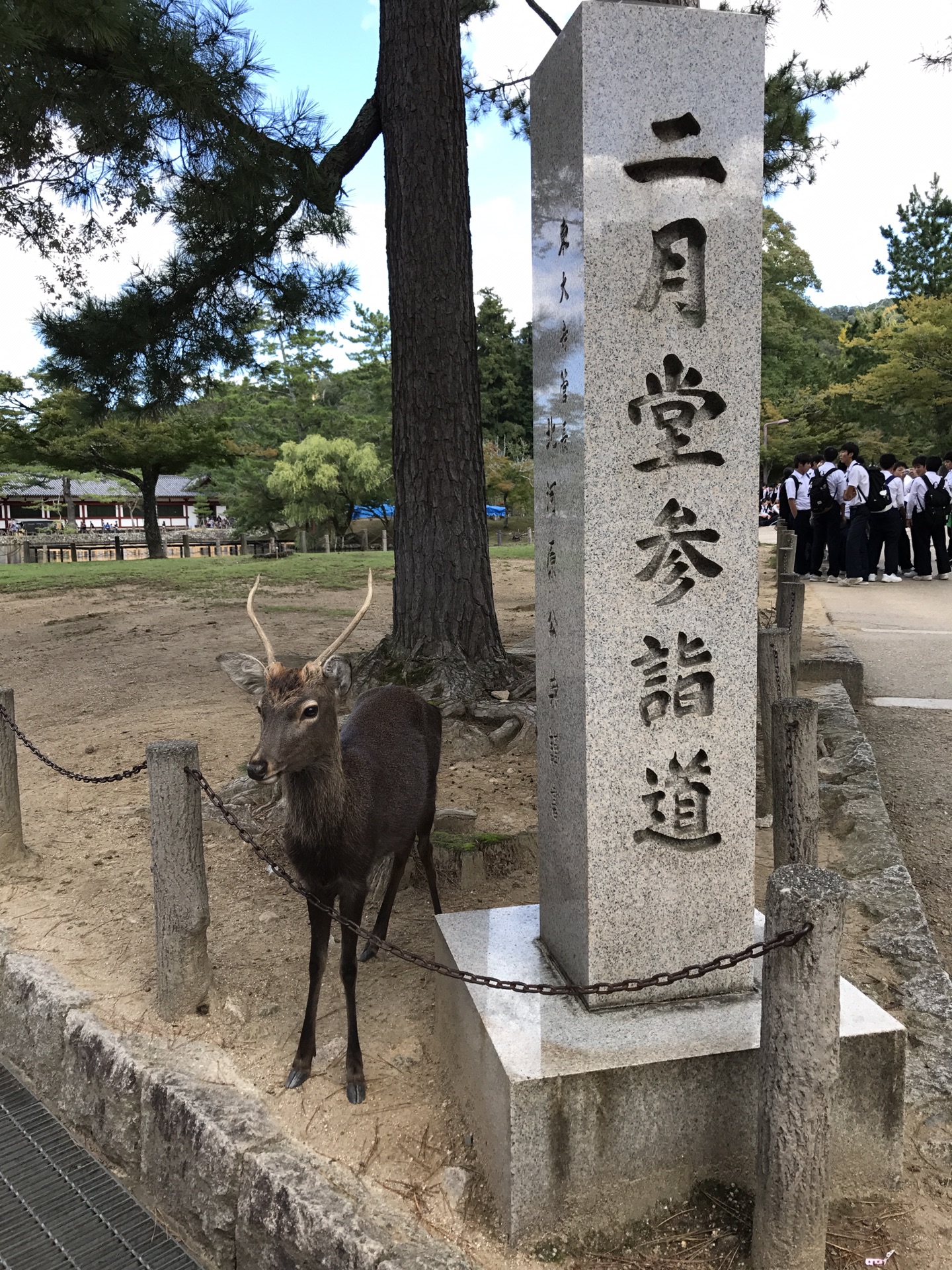 大阪自助遊攻略