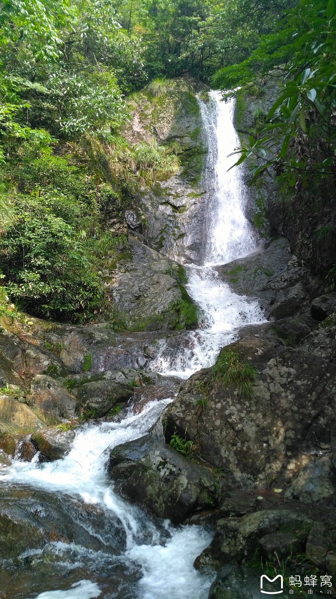 登西,東天目山雙頂記遊,臨安旅遊攻略 - 馬蜂窩