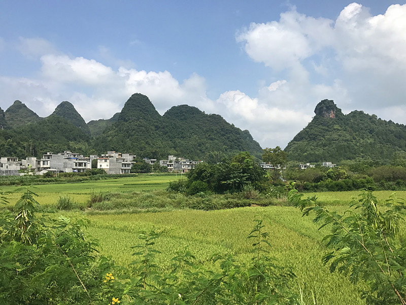 靖西市有多少人口_靖西强化边境口岸疫情防控 筑牢 防线 闭环管理(2)