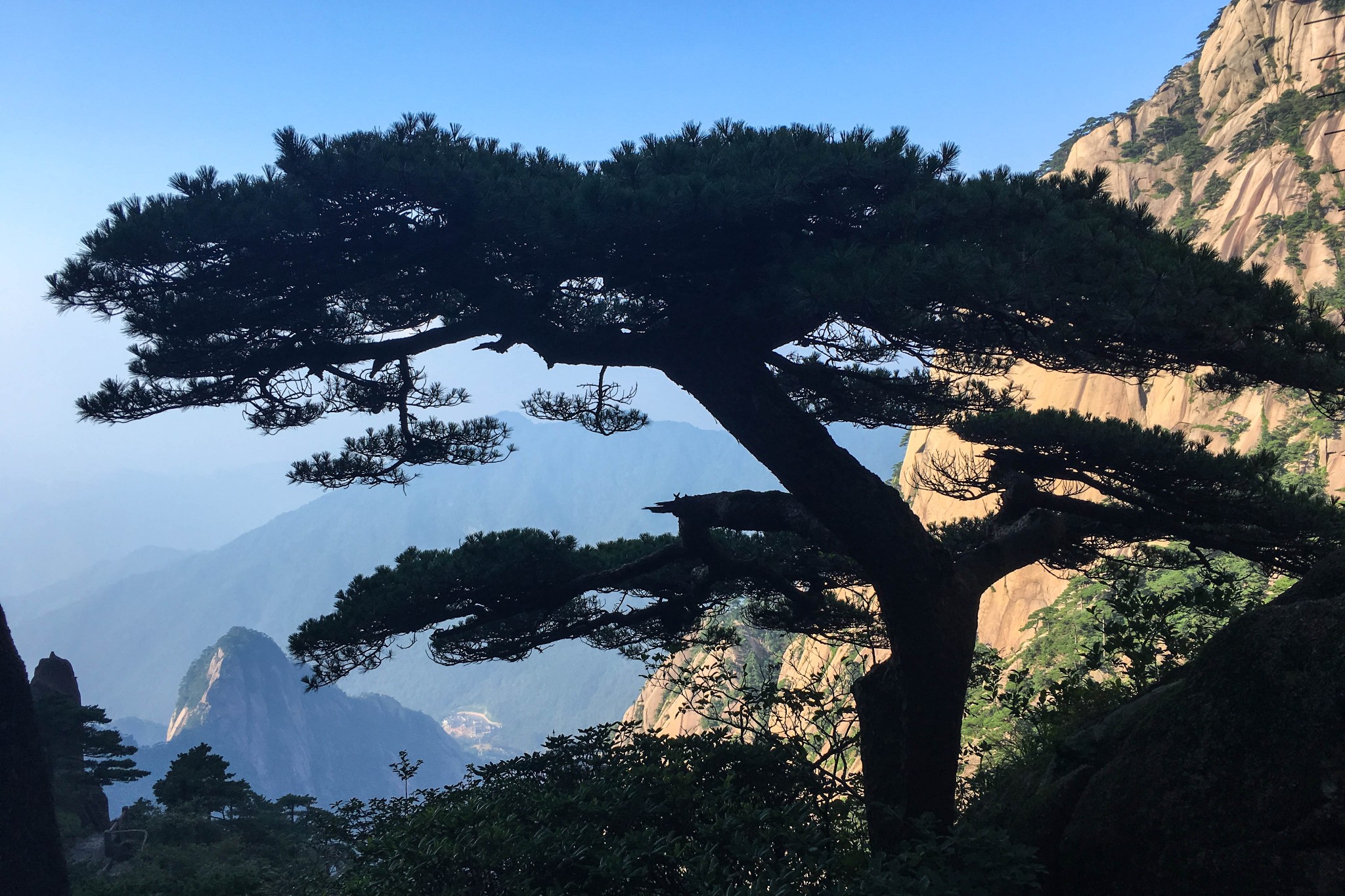 wKgBZ1jQzRaAVxcoAAvxibNX7E813.jpeg?imageView2%2F2%2Fw%2F680%2Fq%2F90%7CimageMogr2%2Fstrip%2Fquality%2F90