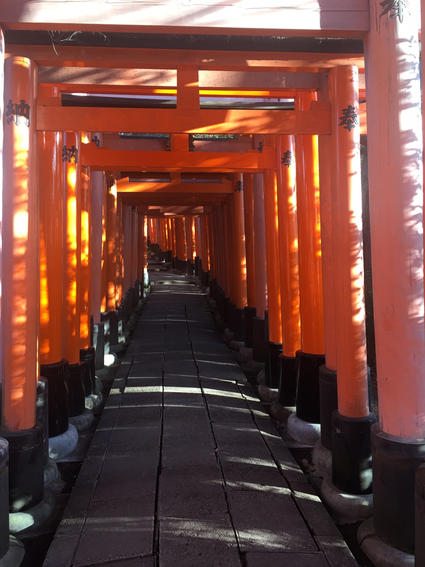 京都千本鳥居遊覽感受