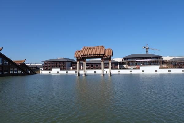 2017-11 上海松江广富林遗址,湖上一片奇特的