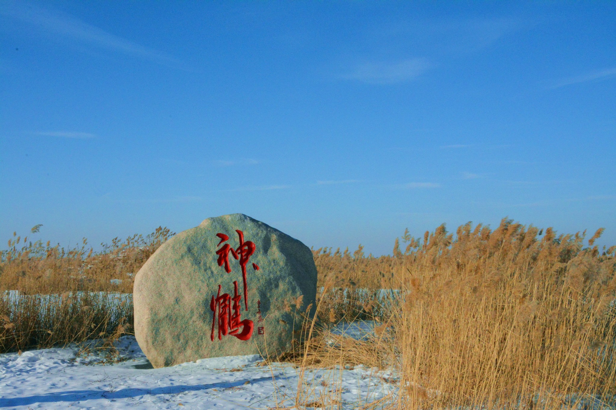 追梦北国四城-----扎龙湿地_游山玩水_齐齐哈尔论坛_齐齐哈尔在线