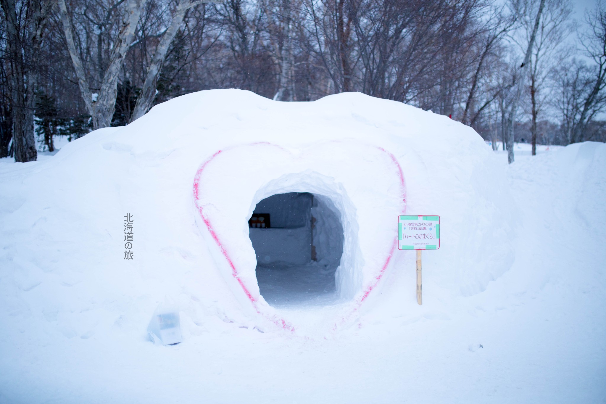 北海道自助遊攻略