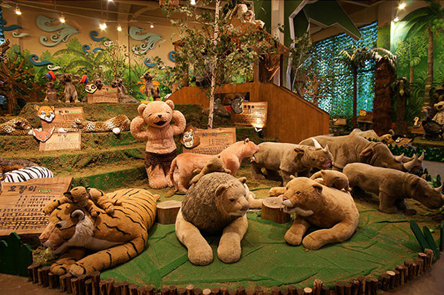 济州岛 泰迪熊博物馆动物王国