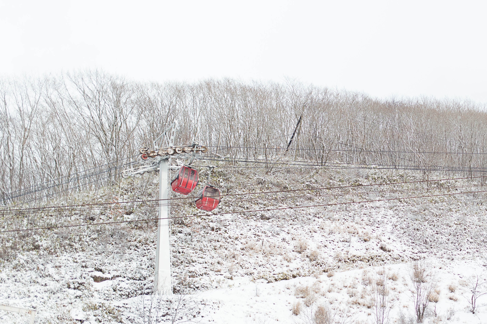 北海道自助遊攻略