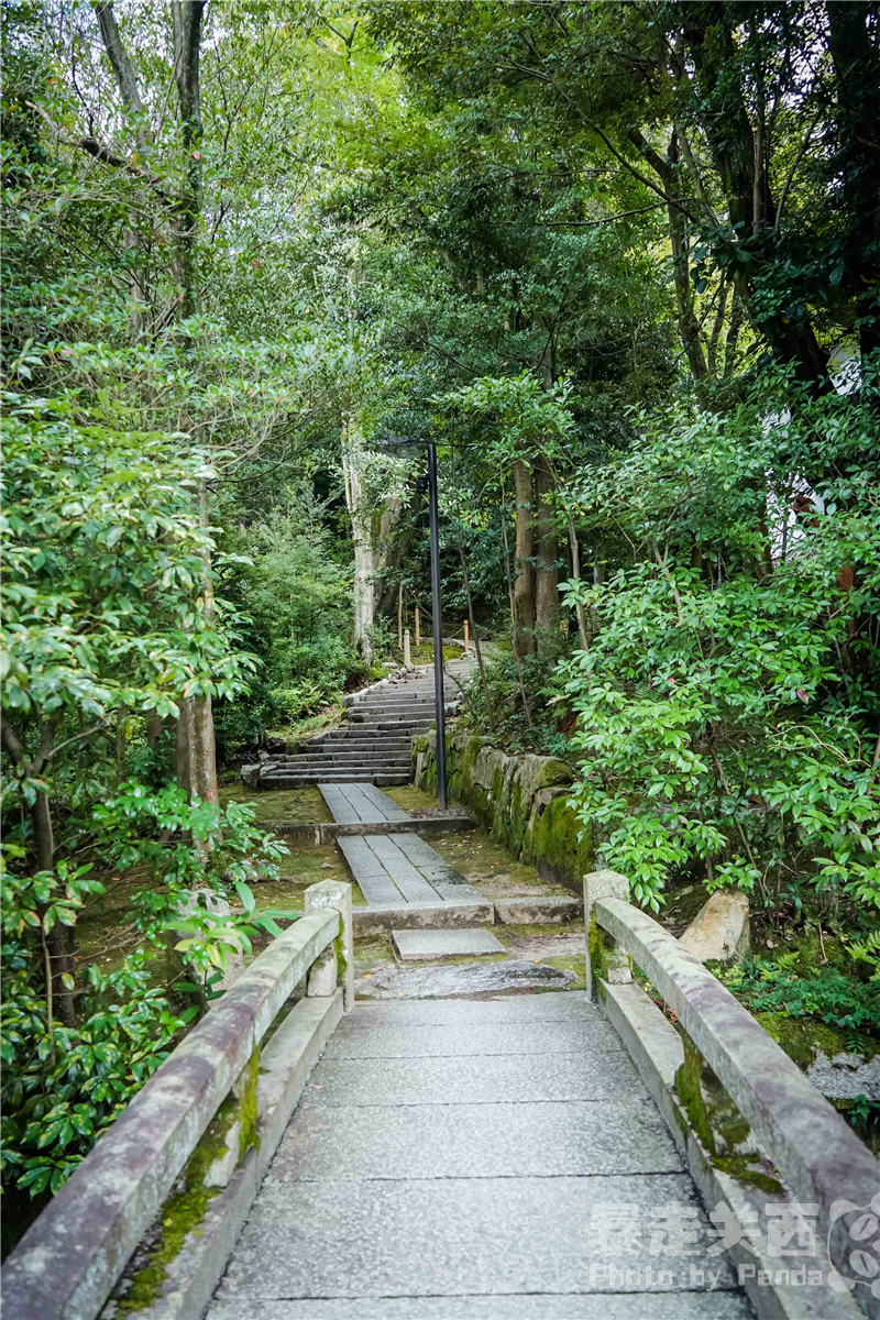 京都自助遊攻略