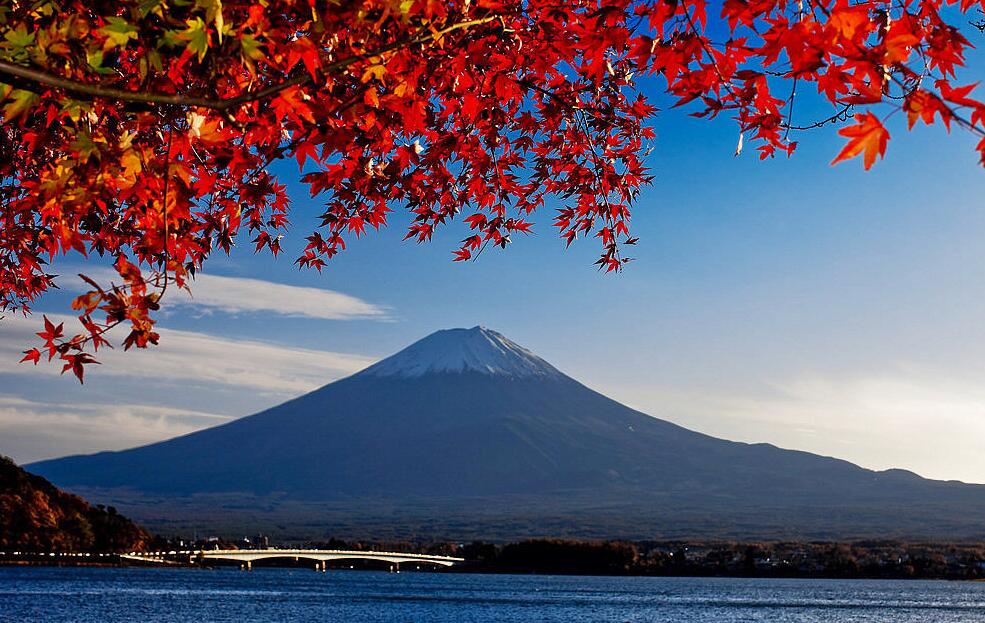 日本富士山 河口湖赏红叶一日游 新仓山浅间公园 河口湖漫步 相模湖霓虹灯秀 松坂牛肉午餐 马蜂窝