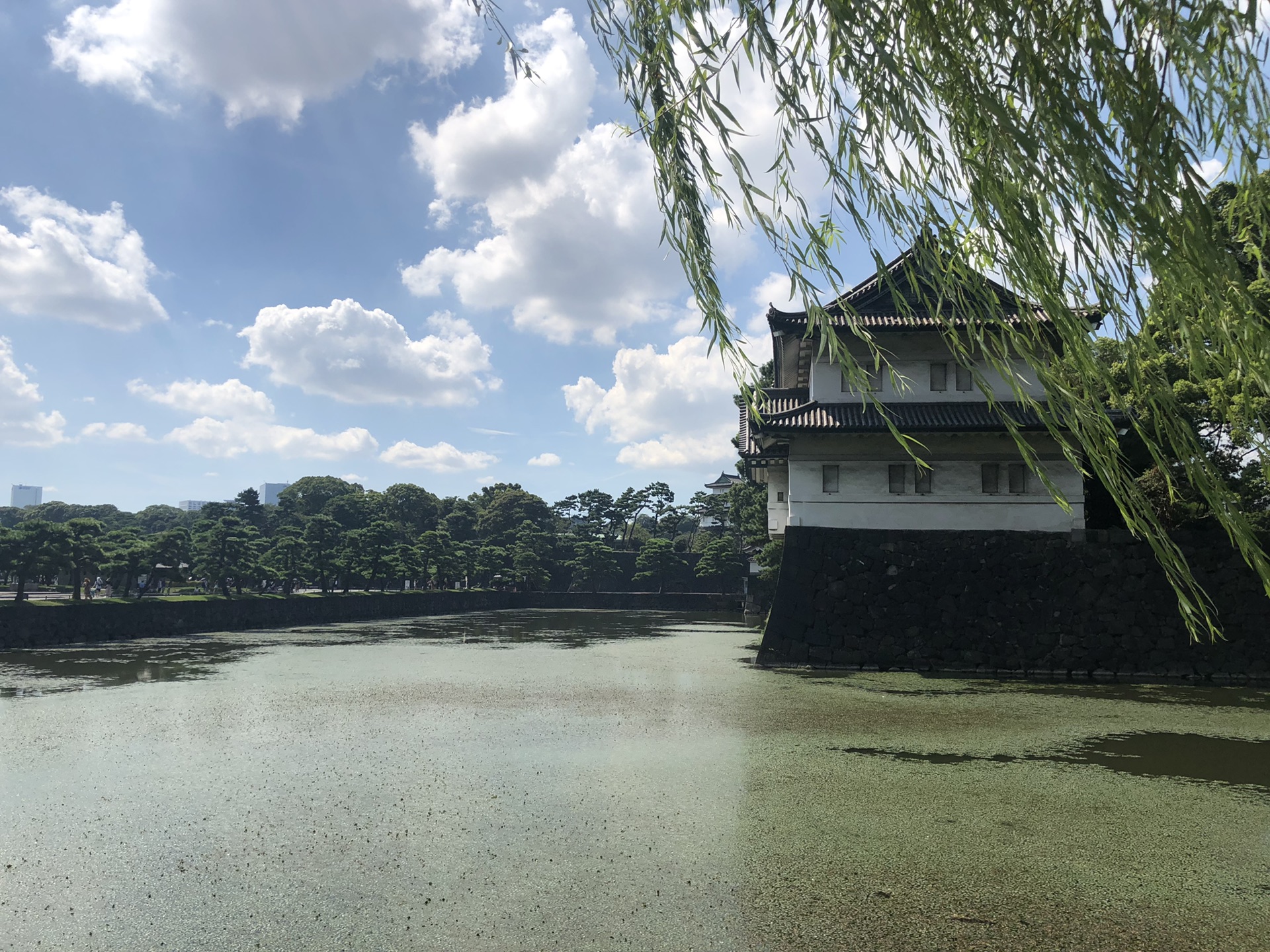 東京自助遊攻略