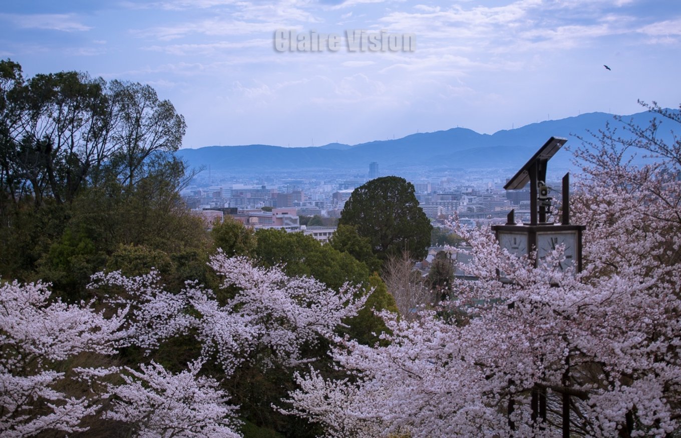 京都自助遊攻略