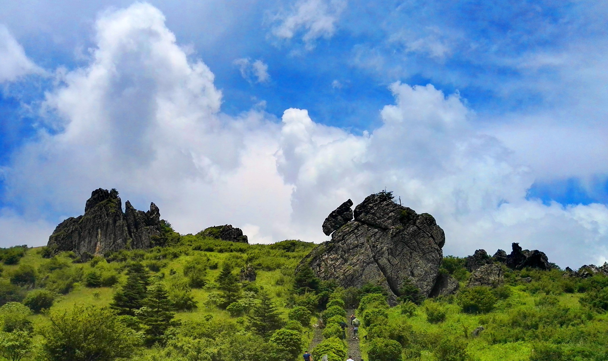 一家五口的避暑遊神農架自駕遊之三-再進神農頂,神農架旅遊攻略 - 馬