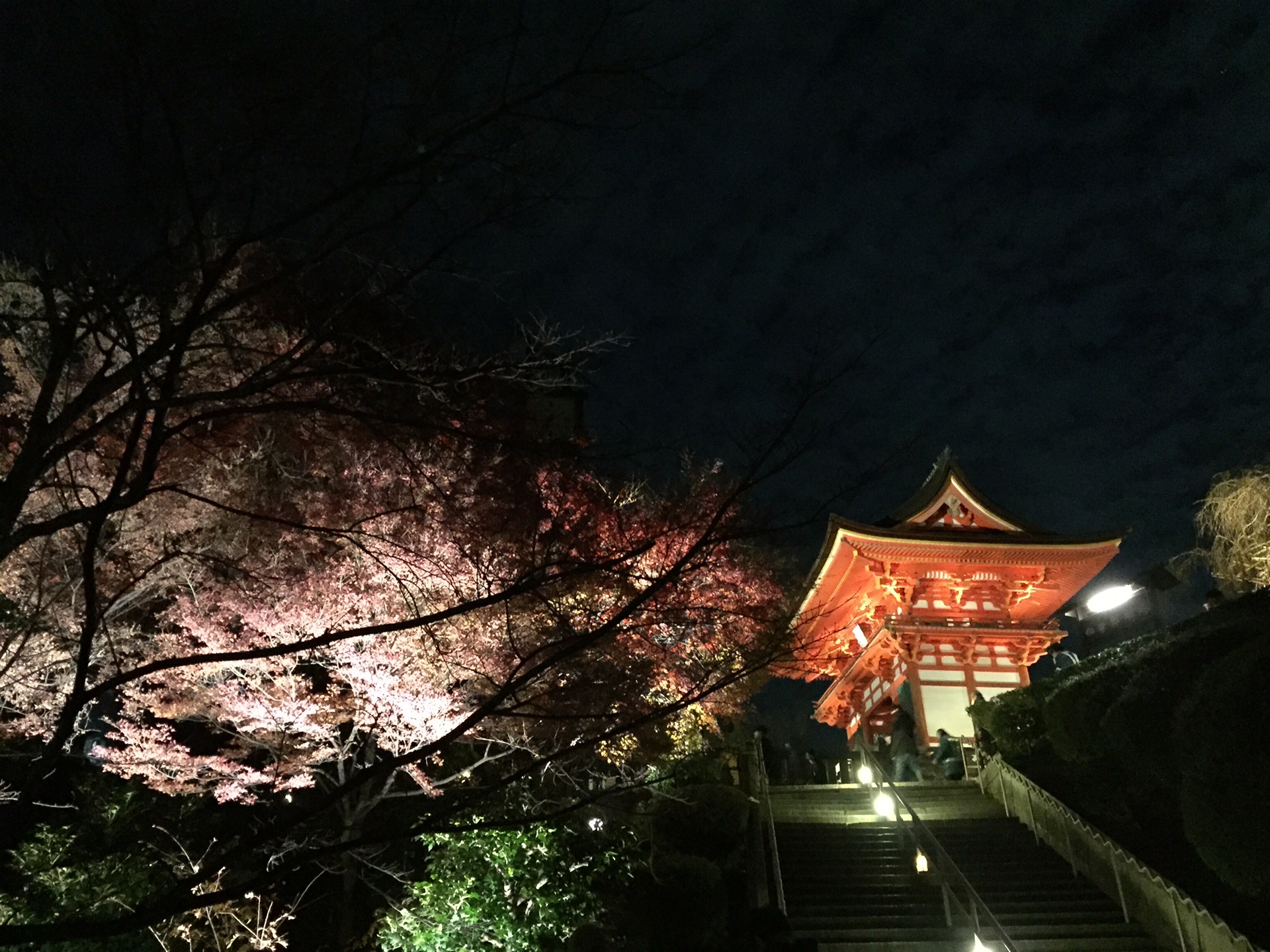 京都自助遊攻略