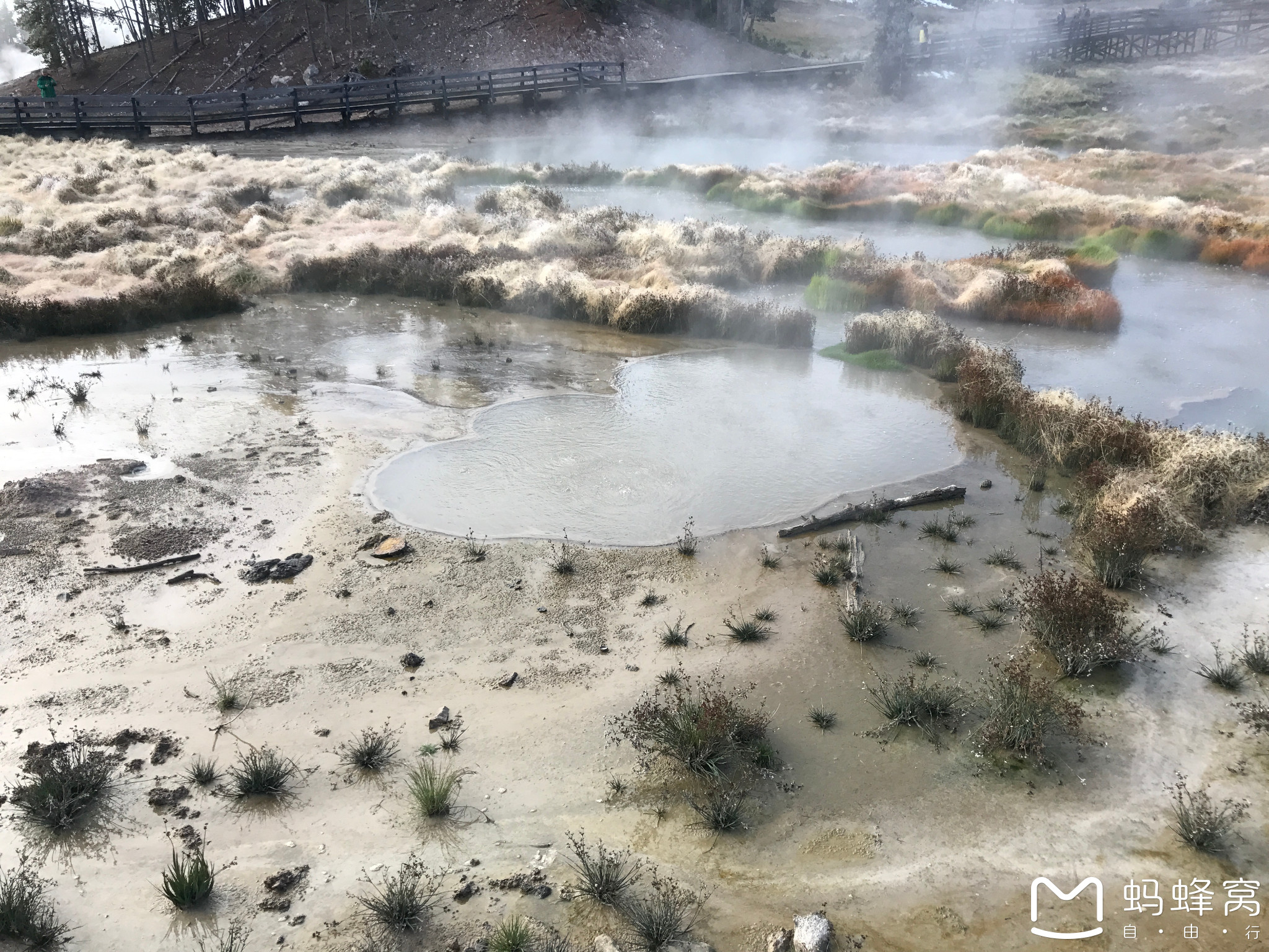 黃石國家公園自助遊攻略