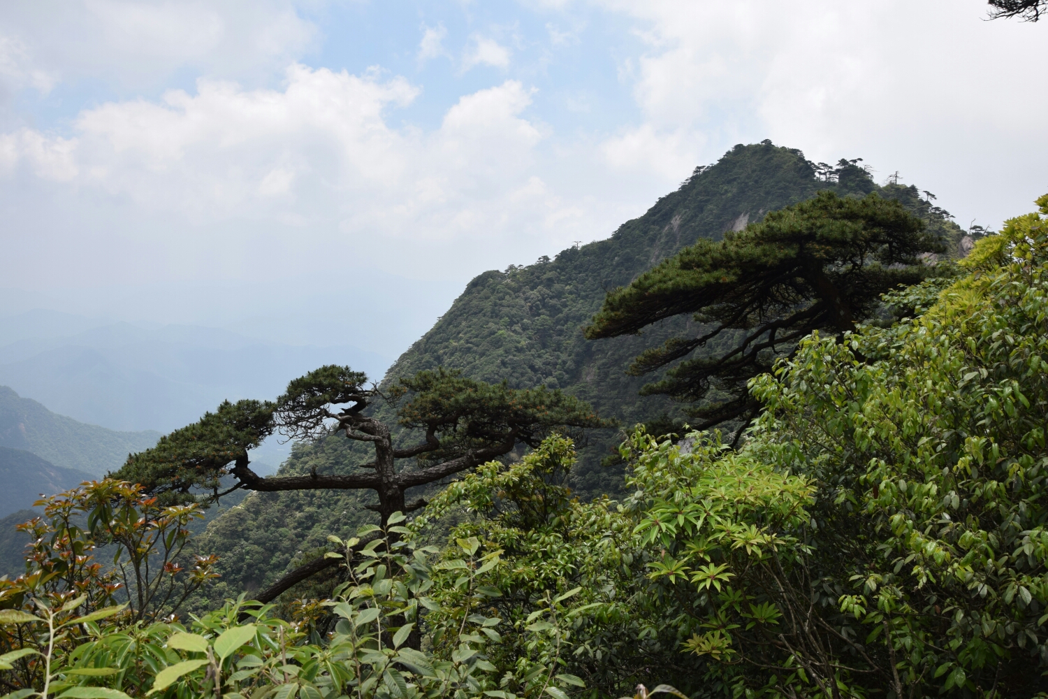 三清山自助遊攻略